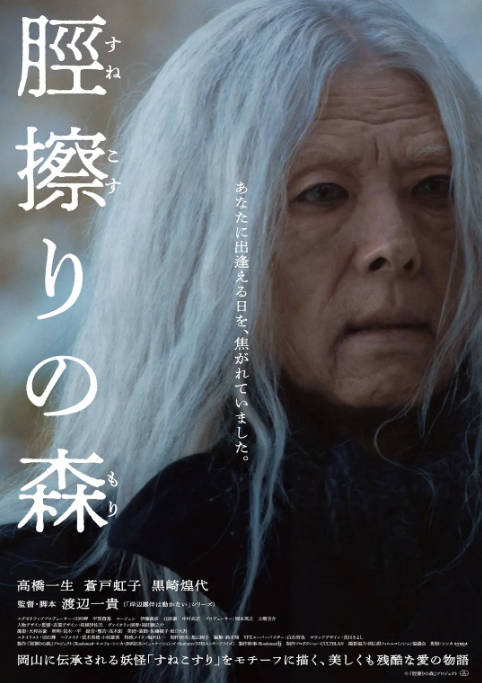日本电影《胫擦之森》（2026）剧情 / 悬疑[夸克网盘]-CD网盘社