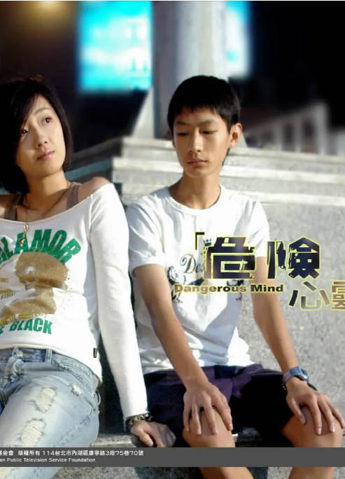 [台剧]《危险心灵》（2006）剧情 豆瓣9.0[夸克网盘]