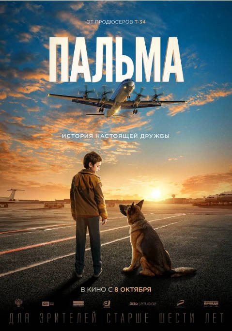 俄罗斯电影《忠犬帕尔玛》（2021）剧情 豆瓣7.2[夸克网盘]-CD网盘社