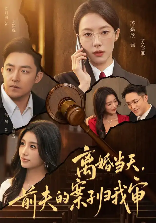 《离婚当天，前夫的案子归我审（63集）苏嘉欣&刘月涛》短剧全集免费在线观看-CD网盘社