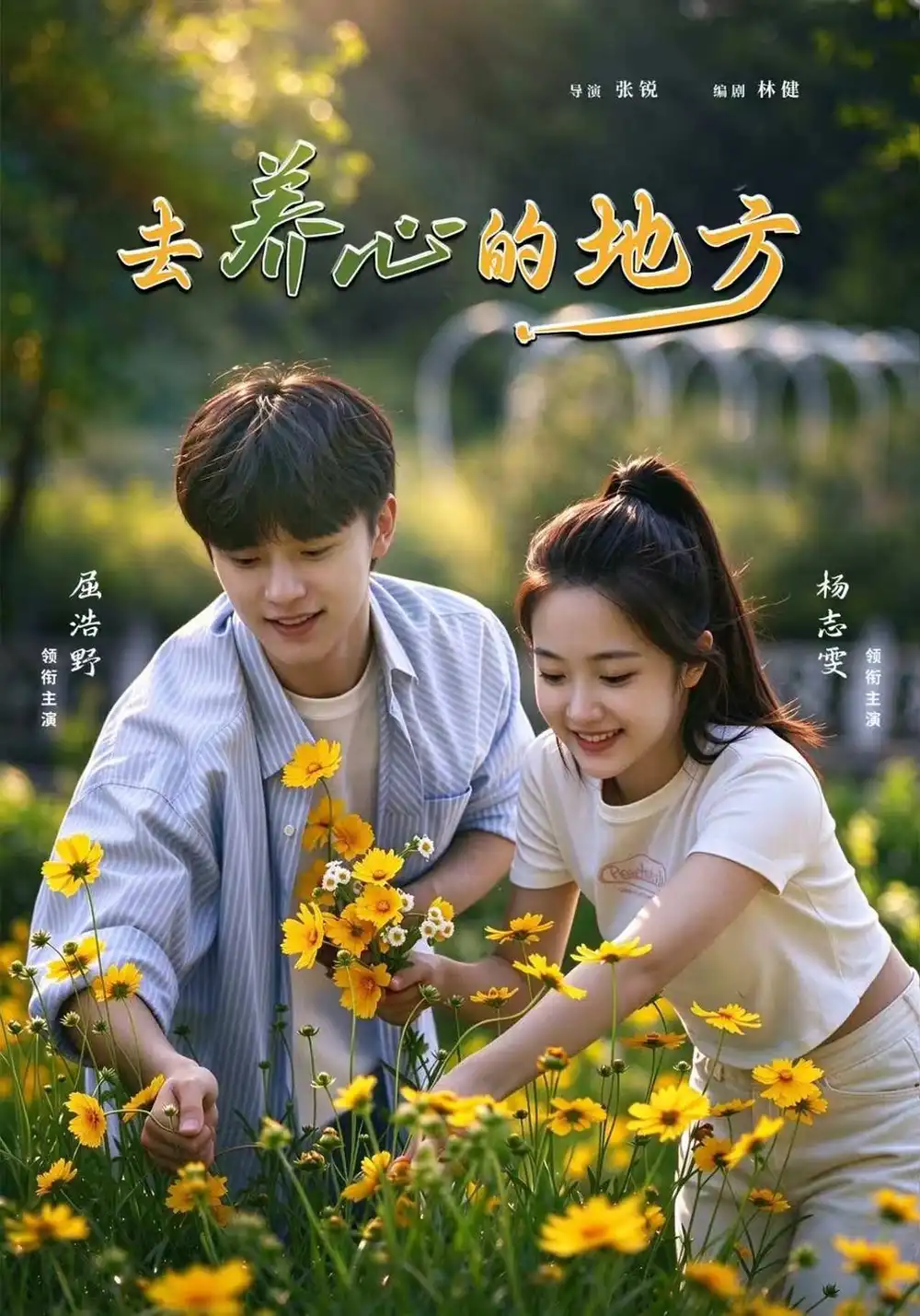 《去养心的地方（32集）杨志雯＆屈浩野》短剧全集免费在线观看-CD网盘社