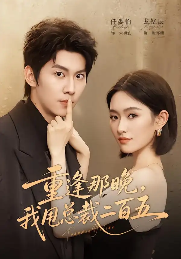 《重逢那晚，我甩总裁二百五（80集）龙钇辰&任娄怡》短剧全集免费在线观看-CD网盘社