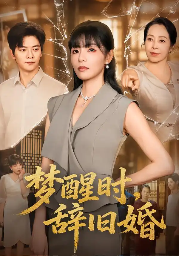 《梦醒时，辞旧婚&梦醒时辞旧婚（46集）魏嘉＆刘瀚阳》短剧全集免费在线观看-CD网盘社
