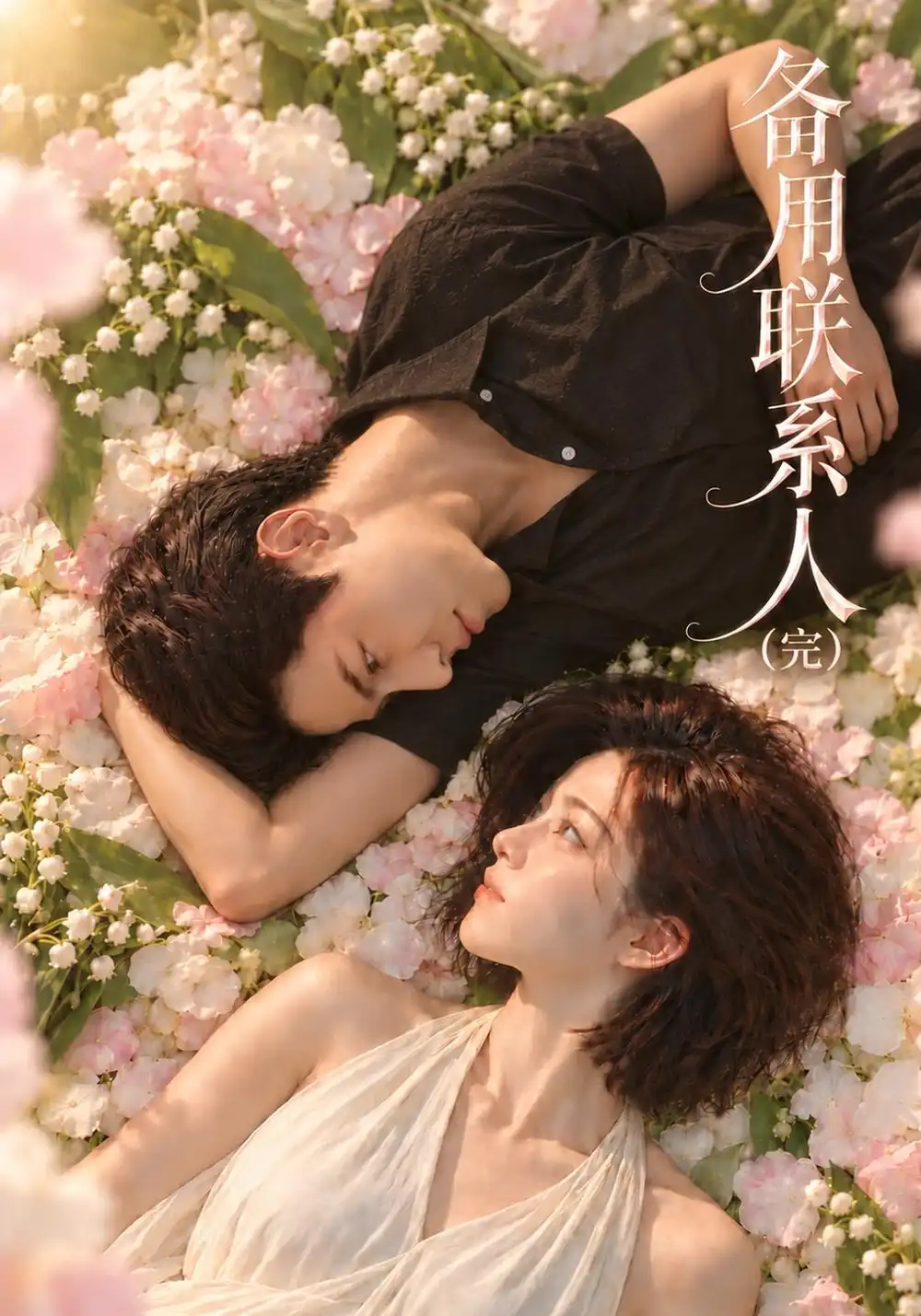 《备用联系人（完）&备用联系人完（106集）AI短剧》短剧全集免费在线观看-CD网盘社