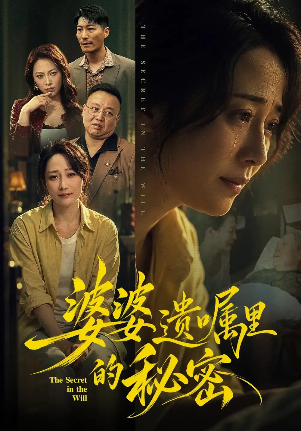 《婆婆遗嘱里的秘密（61集）邬倩＆时晓飞》短剧全集免费在线观看-CD网盘社