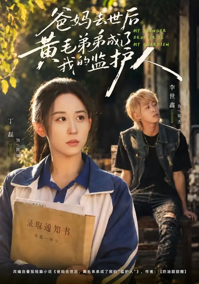 《爸妈去世后黄毛弟弟成了我的监护人（70集）丁磊&李世鑫》短剧全集免费在线观看-CD网盘社