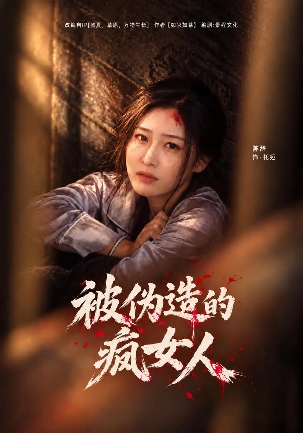 《被伪造的疯女人（44集）马千欢&陈辞》短剧全集免费在线观看-CD网盘社